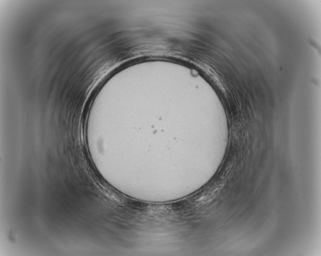 X0000097840887200804111102