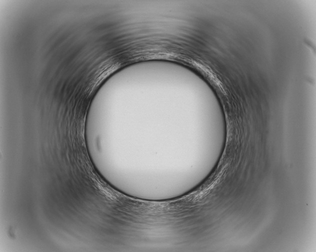 X0000097840889200804111102
