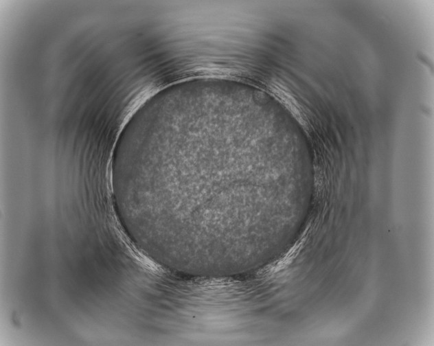 X0000097840891200804111101