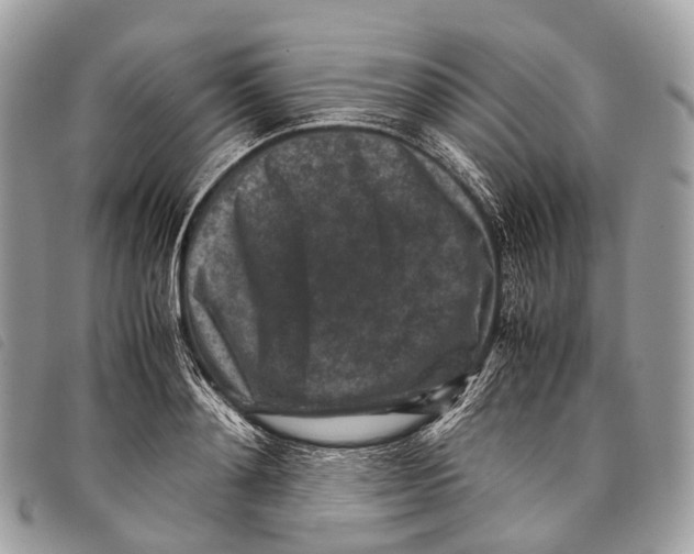 X0000097840892200804111101