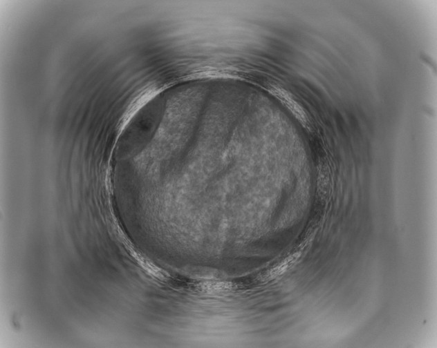 X0000097840893200804111101