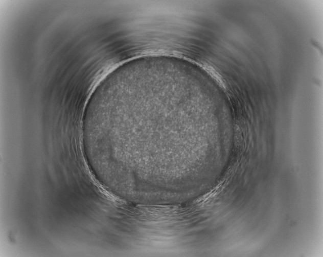 X0000097840895200804111101