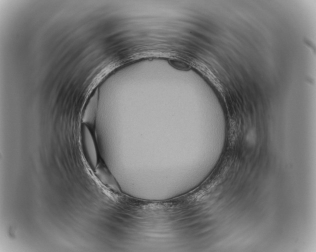 X0000097840898200804111101