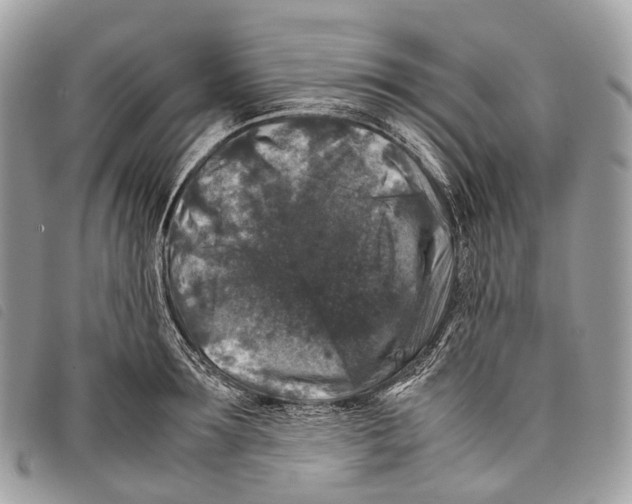 X0000097840899200804111101