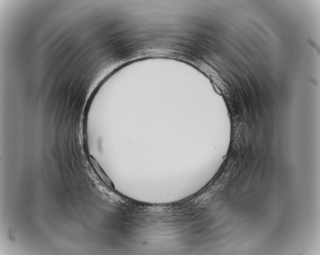X0000097840904200804111101