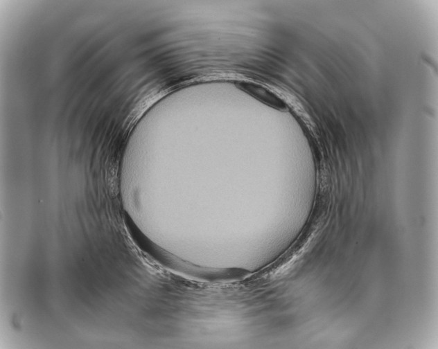 X0000097840905200804111101