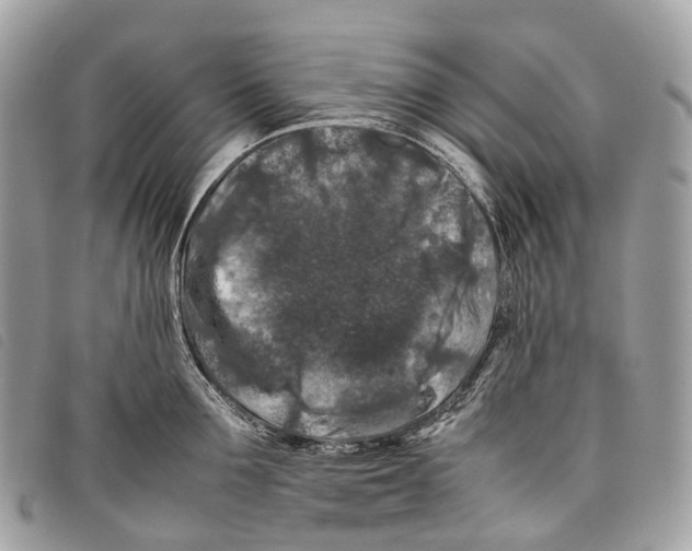 X0000097840907200804111101