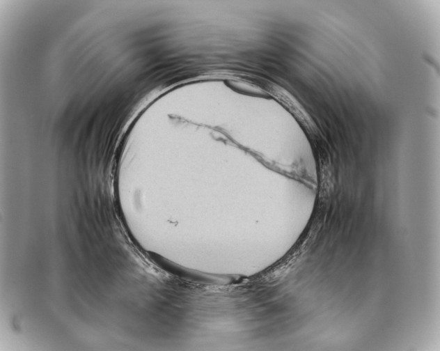 X0000097840908200804111101