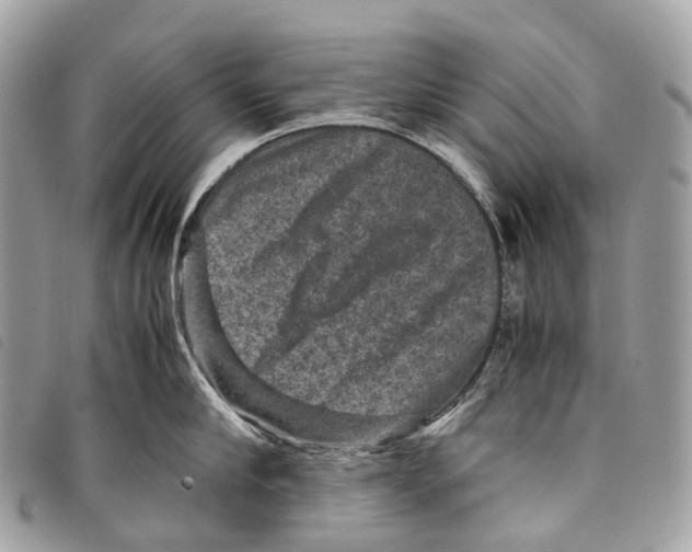 X0000097840910200804111101