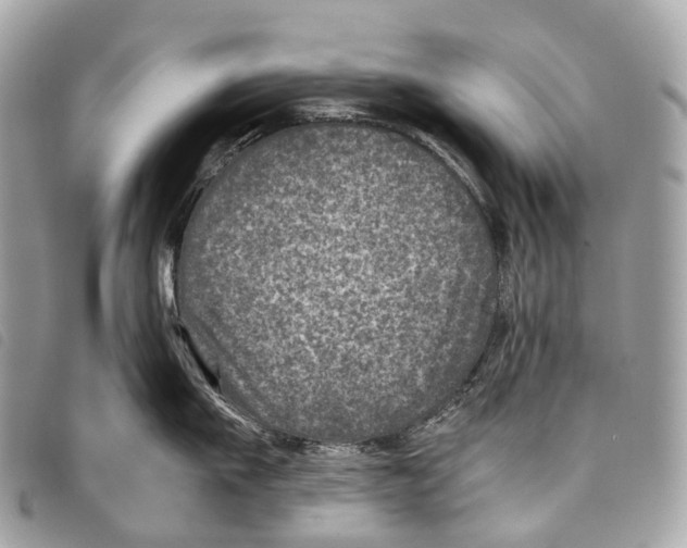 X0000097840911200804111101