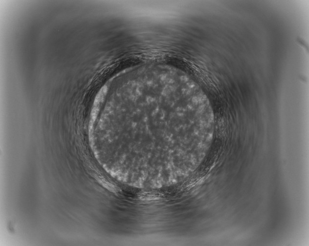 X0000097840913200804111100