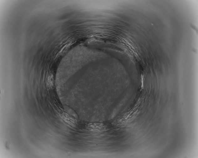 X0000097840915200804111100