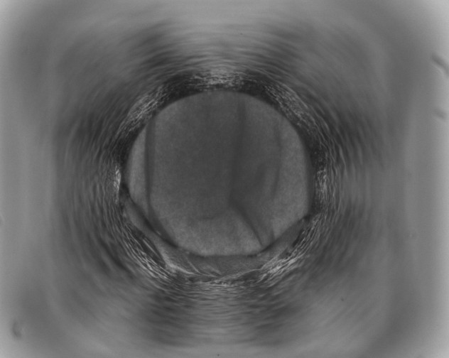 X0000097840916200804111100
