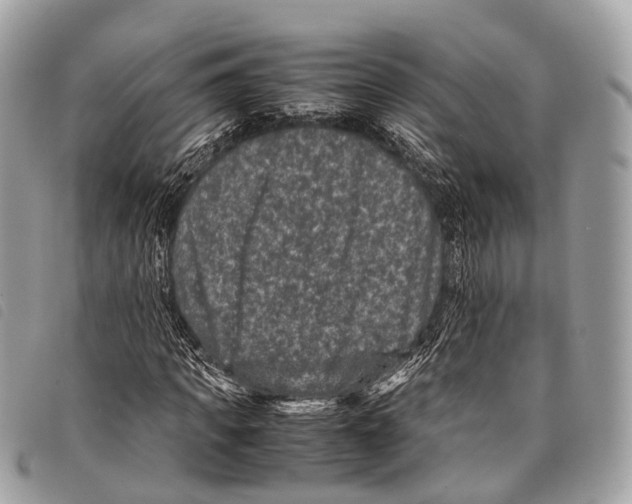 X0000097840917200804111100