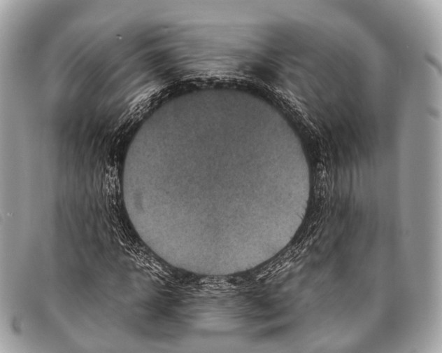 X0000097840918200804111100