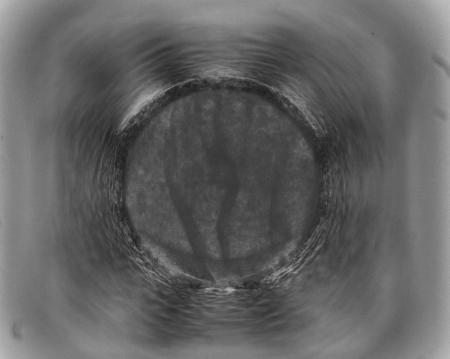 X0000097840919200804111100