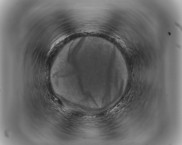 X0000097840920200804111100