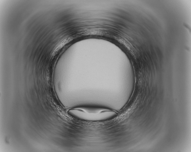 X0000097840922200804111100