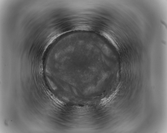 X0000097840923200804111100