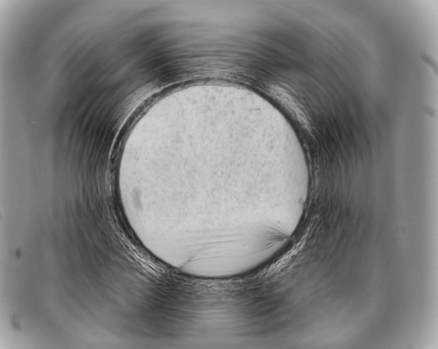 X0000097840924200804111101