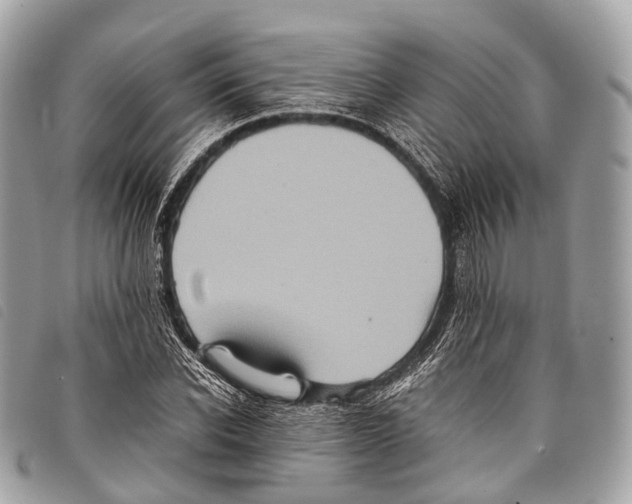 X0000097840926200804111101