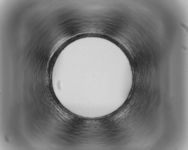 X0000097840927200804111101