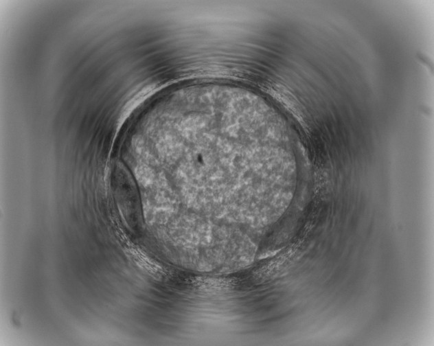 X0000097840928200804111101