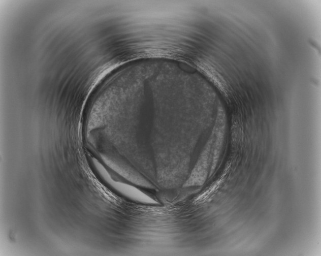 X0000097840932200804111101