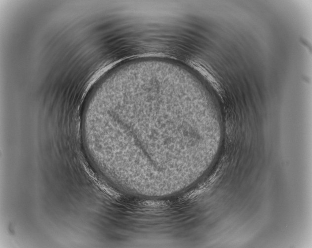 X0000097840933200804111101