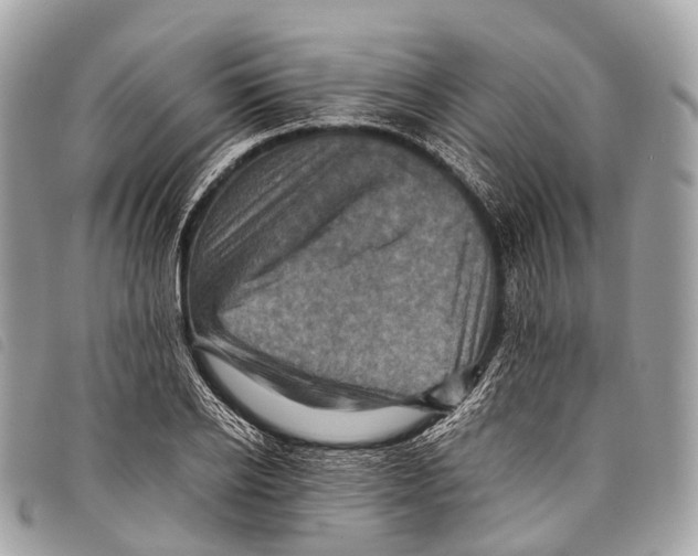 X0000097840934200804111101