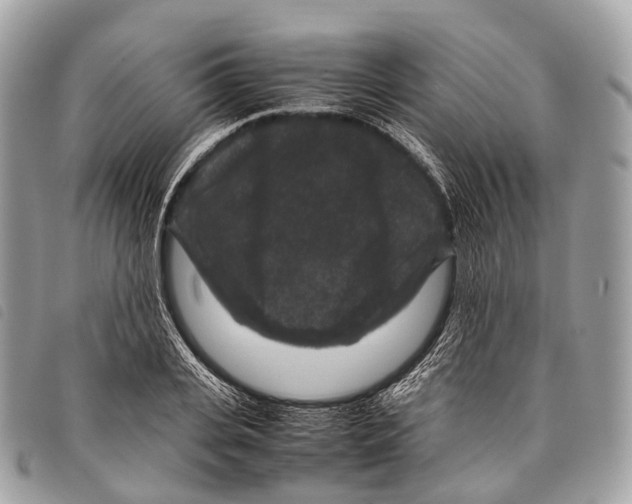 X0000097840935200804111101