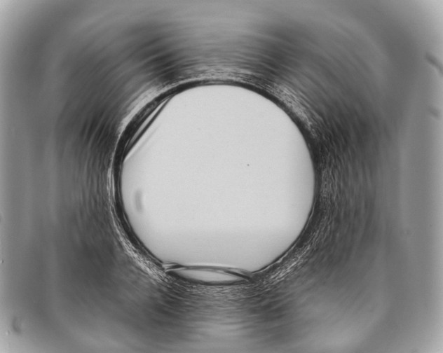 X0000097840936200804111101