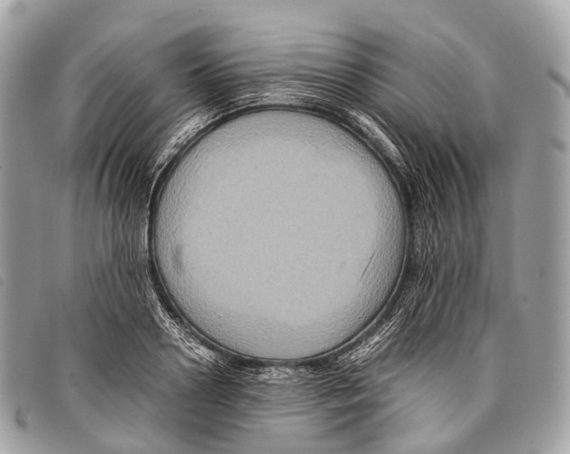 X0000097840938200804111101