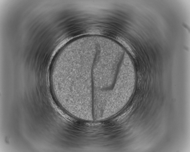 X0000097840939200804111101