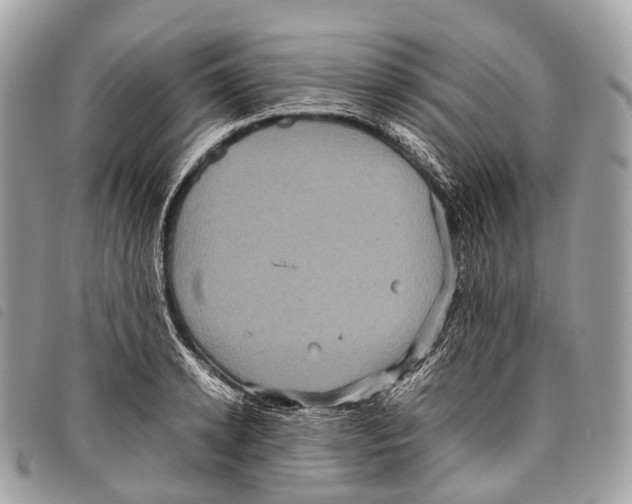 X0000097840942200804111101