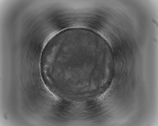 X0000097840943200804111101