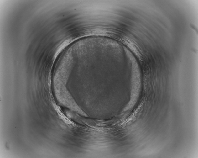 X0000097840944200804111101