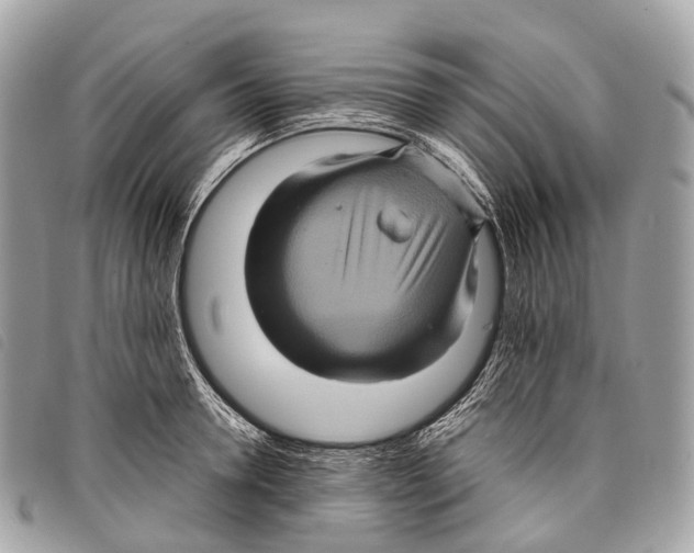 X0000097840946200804111101