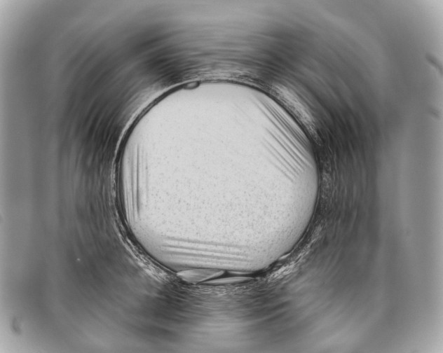 X0000097840948200804111101