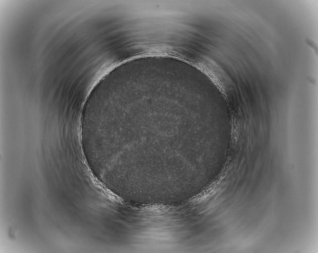 X0000097840950200804111101
