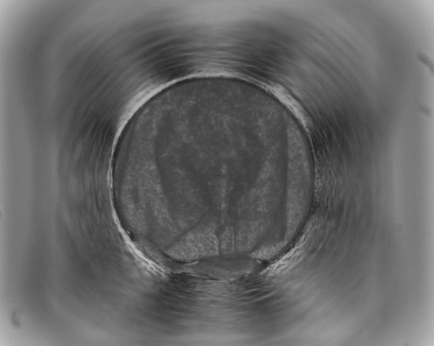 X0000097840951200804111101