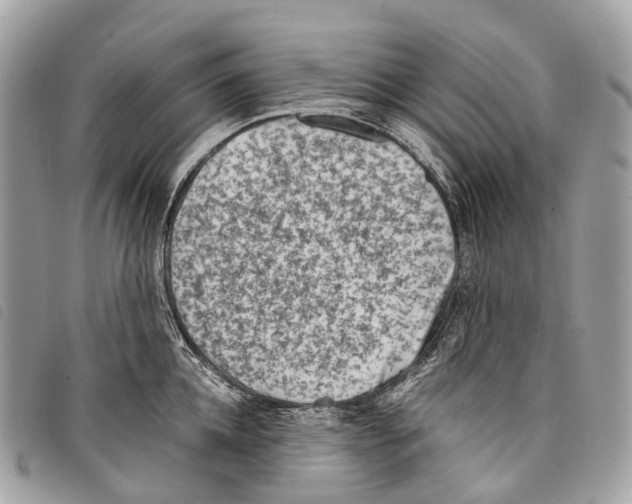 X0000097840952200804111101