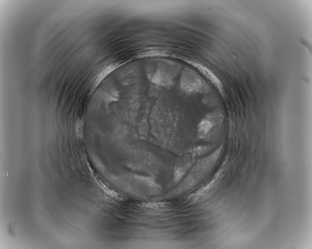 X0000097840953200804111101