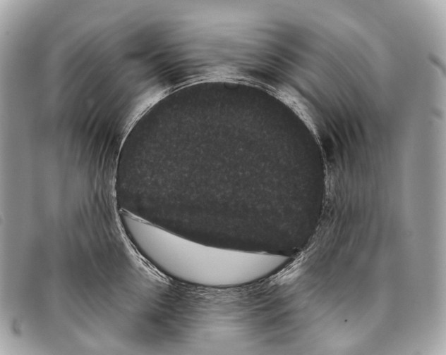 X0000097840954200804111101