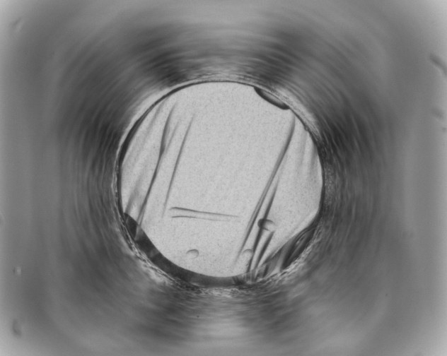 X0000097840956200804111101