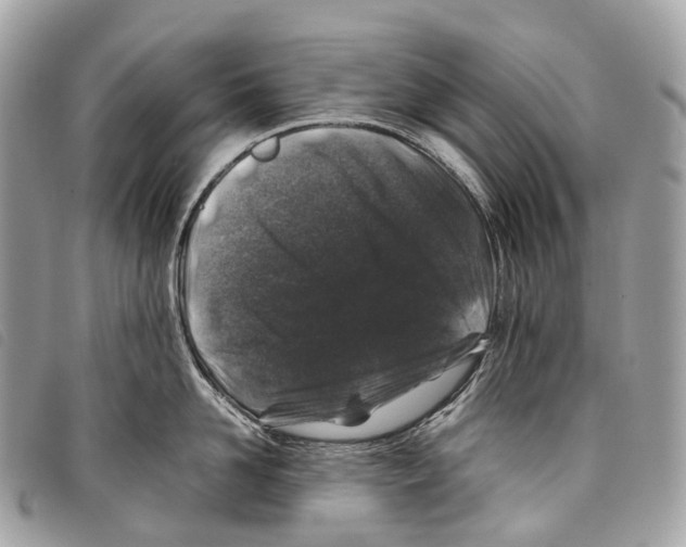 X0000097840958200804111101