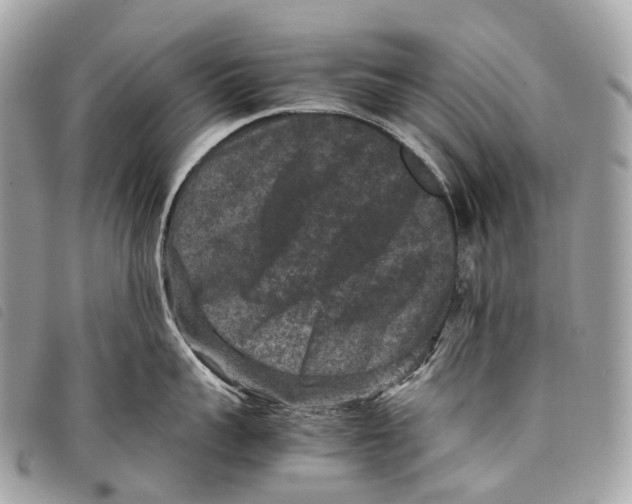 X0000097840959200804111101