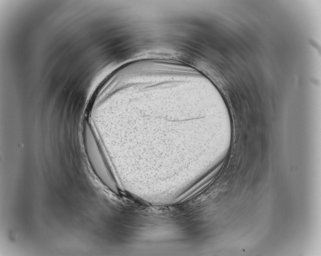X0000097840960200804111101