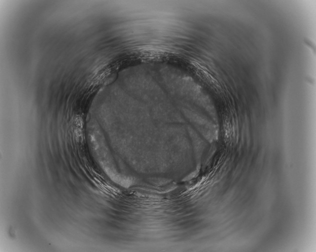 X0000097840964200804111100