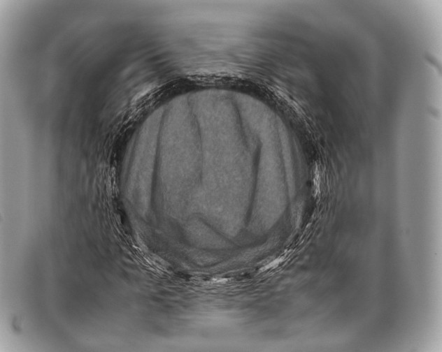 X0000097840965200804111100